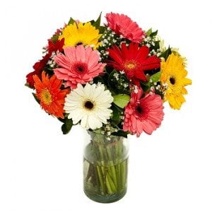 Angelica Gerbera Bouquet for Sale Philippines | FlowerStore.ph ...