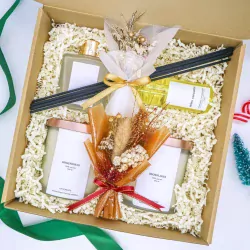 The Radiant Reed Set