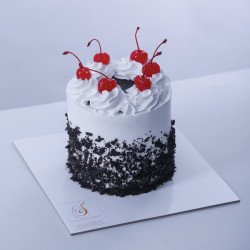 Classic Black Forest (Small Size _ 5x4 Inches).jpg