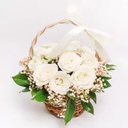 Pure-Devotion-1.webp