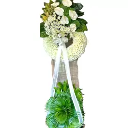 Round Sympathy