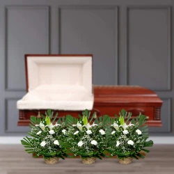 Gentle Farewell