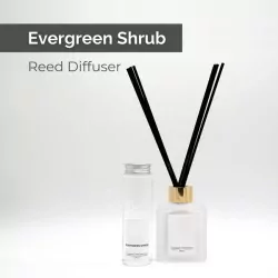 Evergreen Shrub Reed Diffuser - Online Gift Delivery - Philippines ...