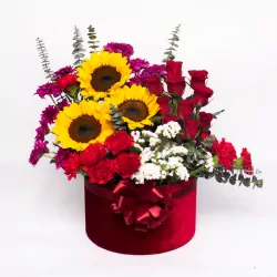 Truly-Madly-Deeply-1.webp