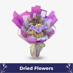 Viorelle