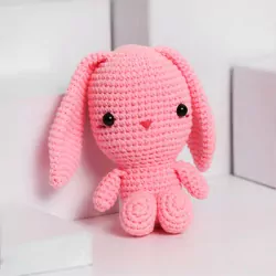 Bunny Crochet 2 Resized.webp