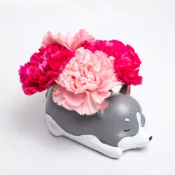 Furbulous-2.webp