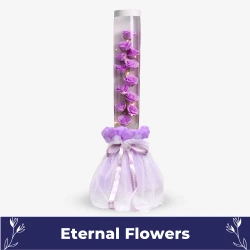 Lavender Lullaby