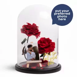 Rose of Timeless Love