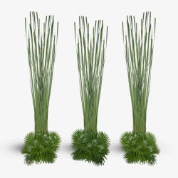 Thai Grass Wall