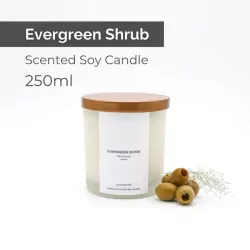 Evergreen Shrub Scented Soy Candle