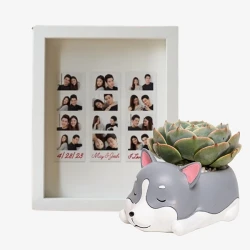 Fur-ever Framed