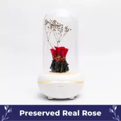 A Rose Diffuser.