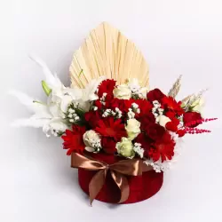 Grandeur-with-ribbon.webp