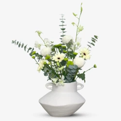Ivory Garden