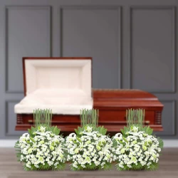 Graceful Tribute