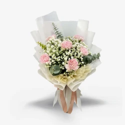 Pink Whisper Carnation