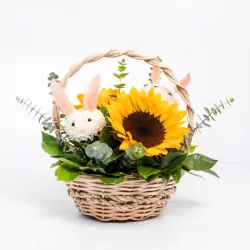 Sunny-Bunny-0.webp