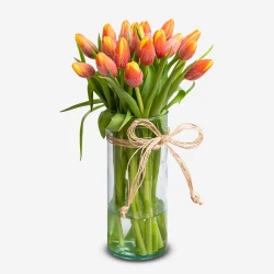 Red-Orange Tulips (20 Stems)