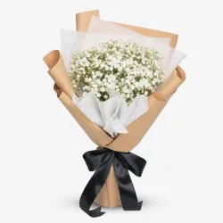 Baby's Breath