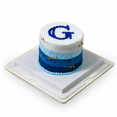 Minimalist Monogram Cake.jpeg