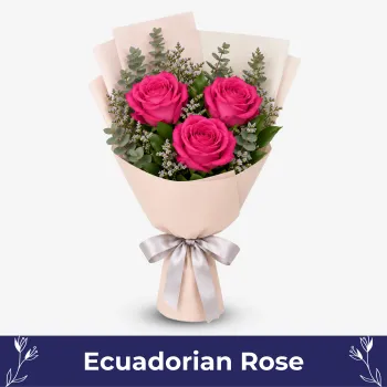 Pink Ecuadorian Love