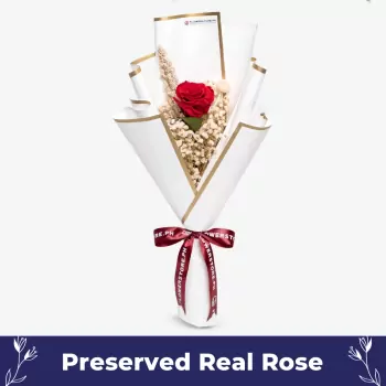 Ruby Petal Blush