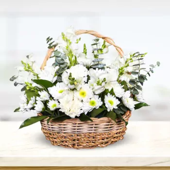 Basket of Chances