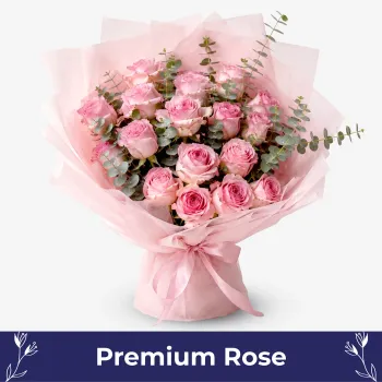 Blushing Pink Rose (30 Premium Roses)