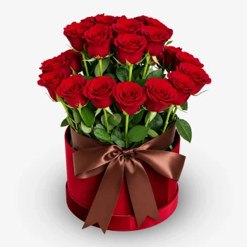 Red Elegance (36 Premium Roses)