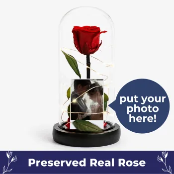 Beauty & The Beast Rose