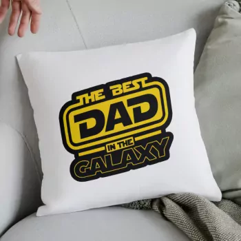 Pillow For The Best Dad