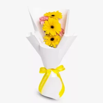 Petal Harmony