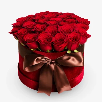 All For Love (36 Premium Roses)