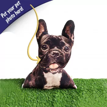 PET1.webp