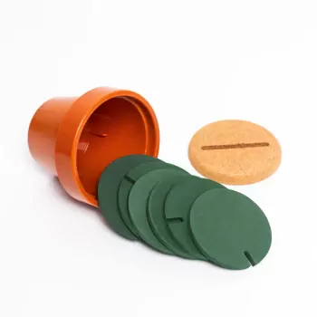 Cactus Coaster Set