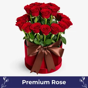 Red Elegance (36 Premium Roses)
