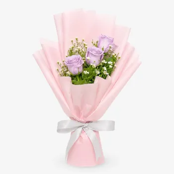 Muse (3 Premium Roses)
