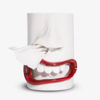 Funny Tissue Holder