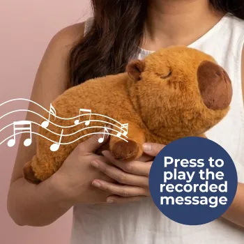 Capybara Plush with Voice Recorder