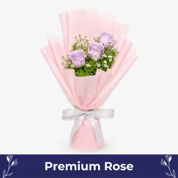 Muse (3 Premium Roses)