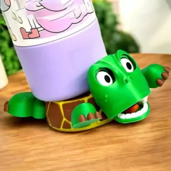 Quirky Turtle Coaster
