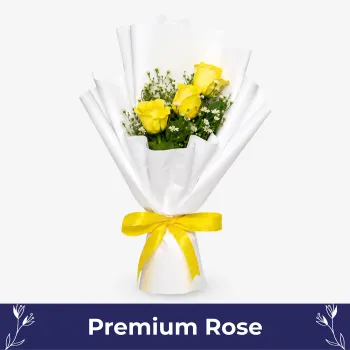 Muse (3 Premium Roses)