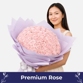 Blooming Blush (100 Premium Roses)