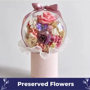 Rosabella Dried Floral Balloon