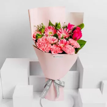Pinky-Hires-2 (1).webp