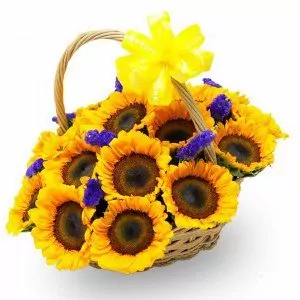 Here Comes The Sun 1.webp