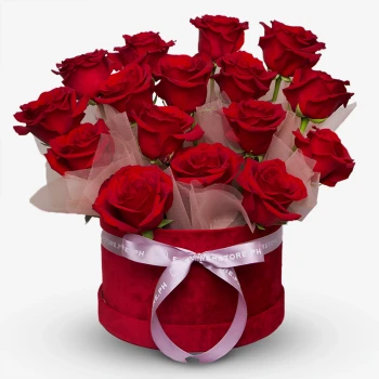Scarlet Velvet Rose Box (16 Ecuadorian Roses)