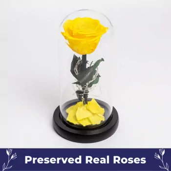 Luminous Belle Rose - Online Gift Delivery - Philippines Online Flowers