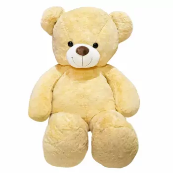 Giant Beige Teddy.